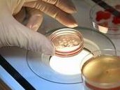 2026三代试管婴儿价格公布！